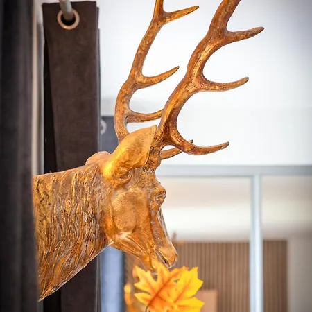 Appartement Le Jeanne D'arc, Vue Sur La Place Du Vieux Marché