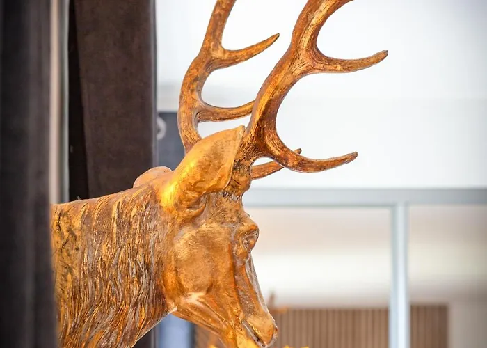 公寓 Le Jeanne D'arc, Vue Sur La Place Du Vieux Marche